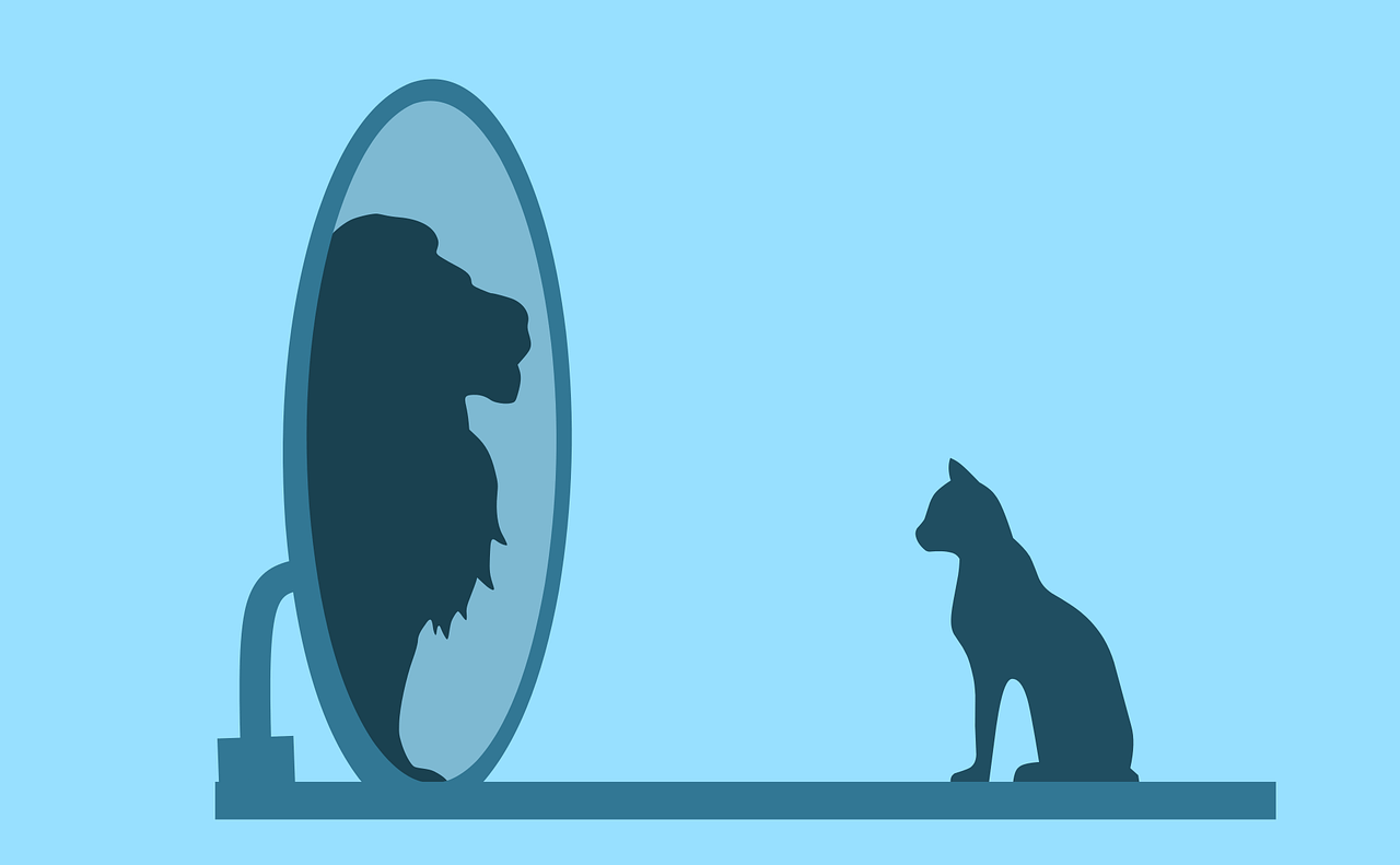 narcisodidni poremećaj. Mačka koja u odrazu u ogledalu vidi lava.