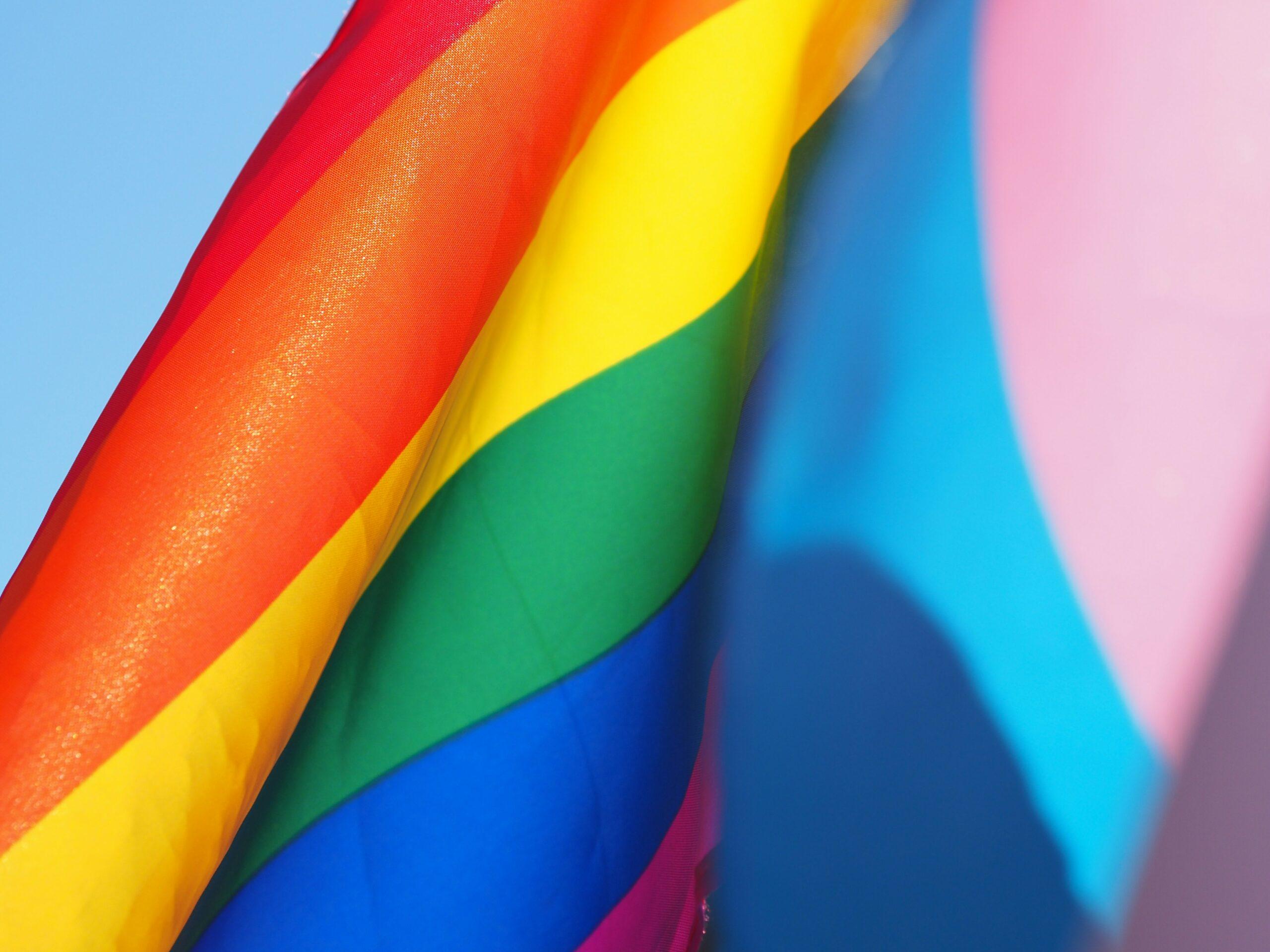 Zatava trans osoba i lgbt zajenice